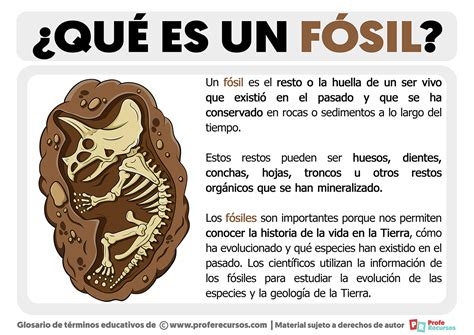 que es un fossil